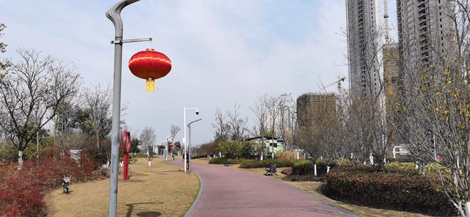 留得青山在(图4)