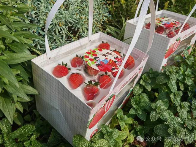 上市啦！开启冬日简阳的“莓”好时光(图2)