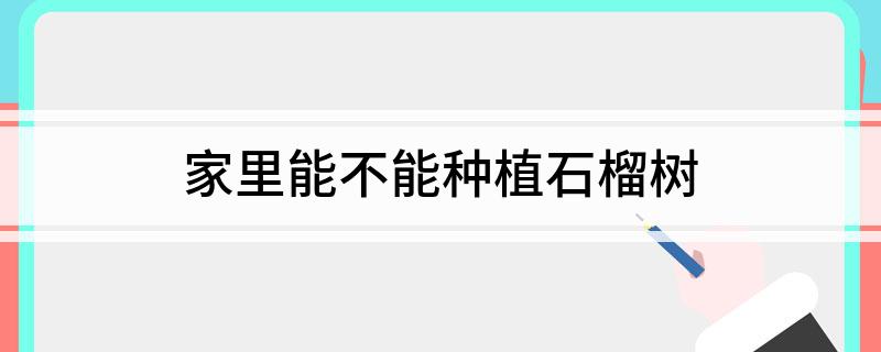 家里能不能种植石榴树(图1)