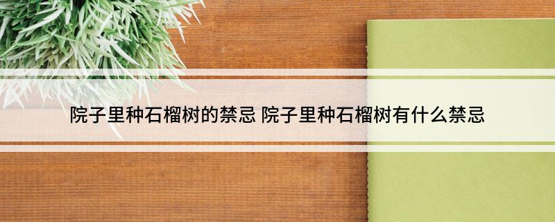 院子里种石榴树的禁忌(图1)