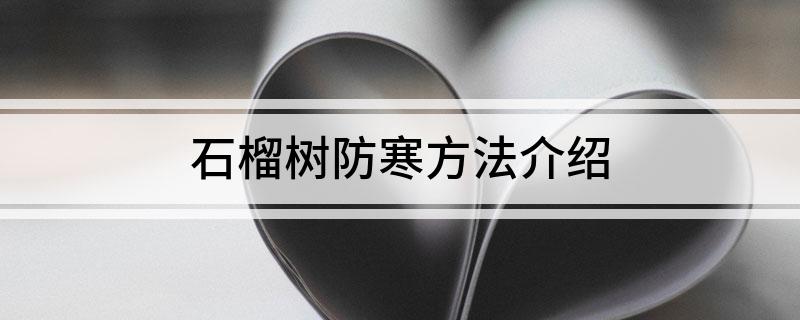 石榴树防寒方法介绍(图1)